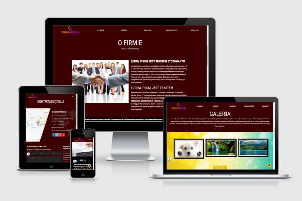Strona internetowa firmowa + blog