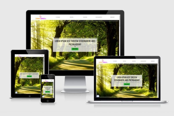 Strona internetowa firmowa + blog